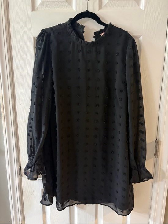 ANDREE BY UNIT Dresses & Skirts - Black Swiss Dot Long Sleeve Dress